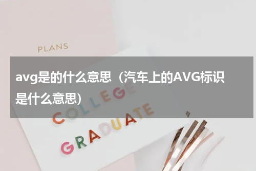 avg是的什么意思（汽车上的AVG标识是什么意思）