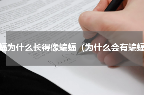 蝙蝠为什么长得像蝙蝠（为什么会有蝙蝠）