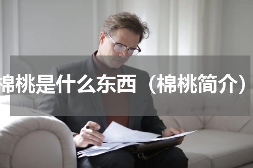 棉桃是什么东西（棉桃简介）