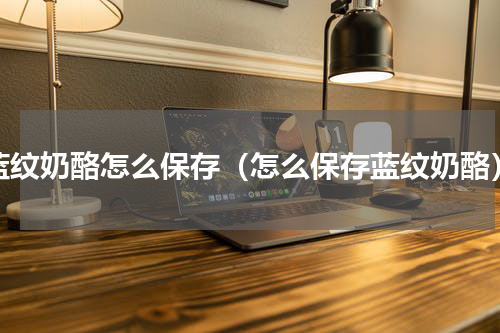 蓝纹奶酪怎么保存（怎么保存蓝纹奶酪）