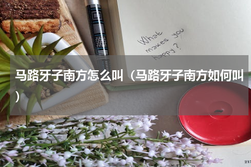 马路牙子南方怎么叫（马路牙子南方如何叫）