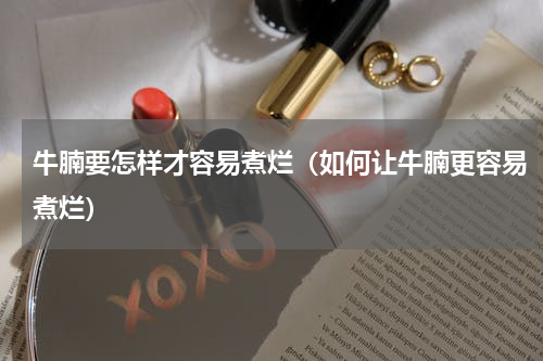 牛腩要怎样才容易煮烂（如何让牛腩更容易煮烂）
