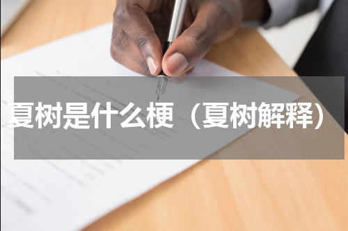夏树是什么梗（夏树解释）
