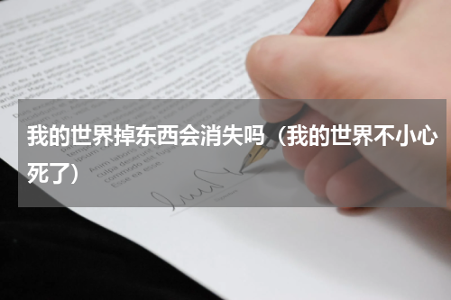 我的世界掉东西会消失吗（我的世界不小心死了）