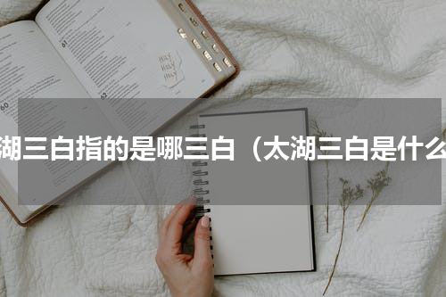 太湖三白指的是哪三白（太湖三白是什么）