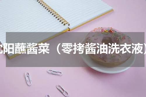 沈阳蘸酱菜（零拷酱油洗衣液）