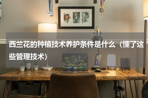 西兰花的种植技术养护条件是什么（懂了这些管理技术）