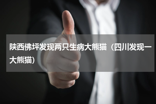 陕西佛坪发现两只生病大熊猫（四川发现一大熊猫）