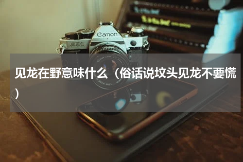 见龙在野意味什么（俗话说坟头见龙不要慌）