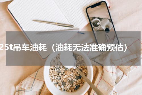 25t吊车油耗（油耗无法准确预估）