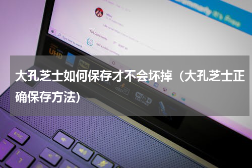 大孔芝士如何保存才不会坏掉（大孔芝士正确保存方法）