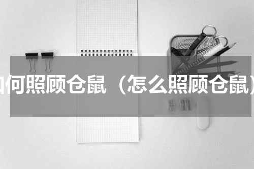 如何照顾仓鼠（怎么照顾仓鼠）