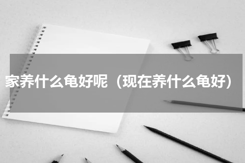 家养什么龟好呢（现在养什么龟好）
