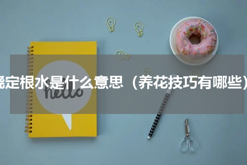 浇定根水是什么意思（养花技巧有哪些）