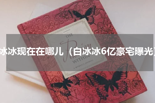 白冰冰现在在哪儿（白冰冰6亿豪宅曝光）