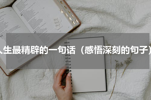 人生最精辟的一句话（感悟深刻的句子）
