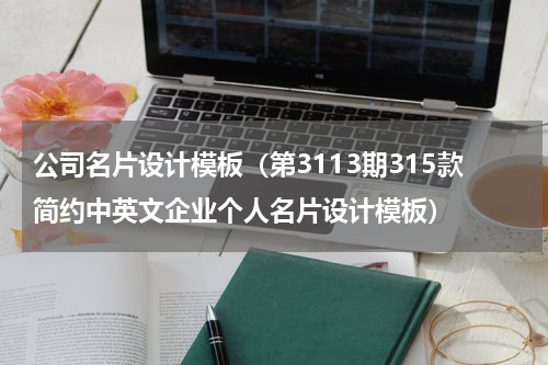 公司名片设计模板（第3113期315款简约中英文企业个人名片设计模板）