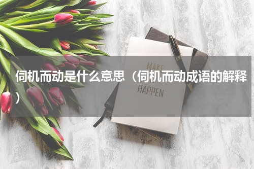 伺机而动是什么意思（伺机而动成语的解释）