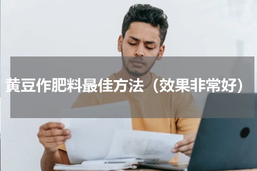 黄豆作肥料最佳方法（效果非常好）