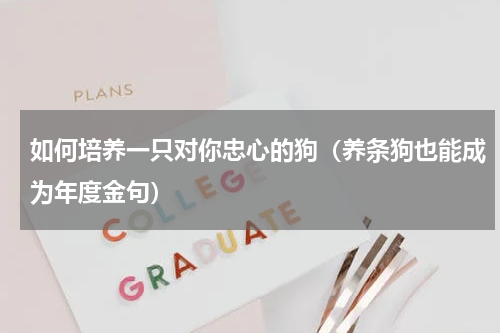 如何培养一只对你忠心的狗（养条狗也能成为年度金句）