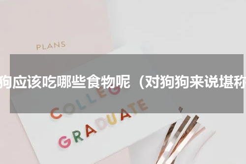 狗狗应该吃哪些食物呢（对狗狗来说堪称）
