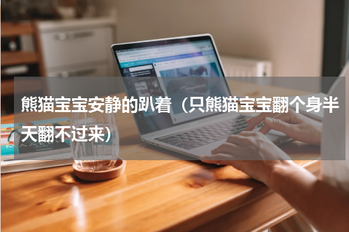熊猫宝宝安静的趴着（只熊猫宝宝翻个身半天翻不过来）