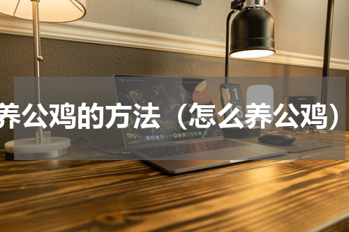 养公鸡的方法（怎么养公鸡）