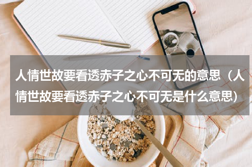 人情世故要看透赤子之心不可无的意思（人情世故要看透赤子之心不可无是什么意思）
