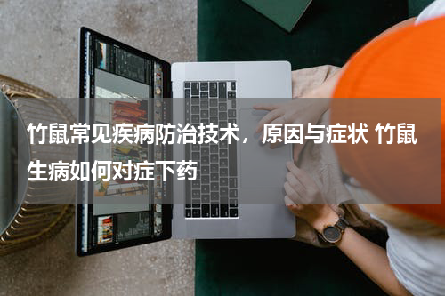 竹鼠常见疾病防治技术，原因与症状 竹鼠生病如何对症下药