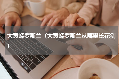 大黄蜂罗斯兰（大黄蜂罗斯兰从哪里长花剑）