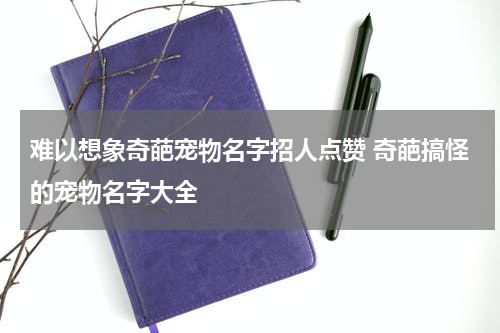 难以想象奇葩宠物名字招人点赞 奇葩搞怪的宠物名字大全