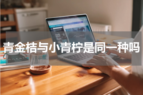 青金桔与小青柠是同一种吗