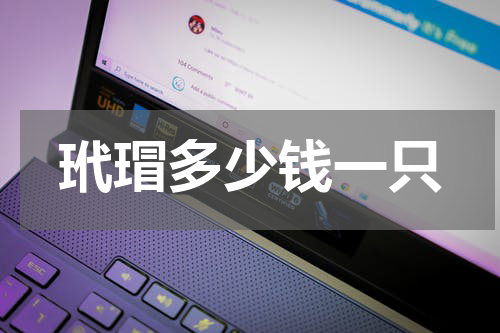 玳瑁多少钱一只