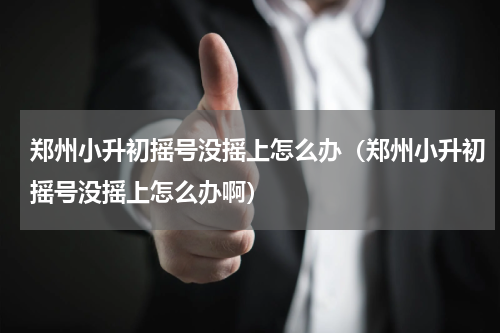 郑州小升初摇号没摇上怎么办（郑州小升初摇号没摇上怎么办啊）