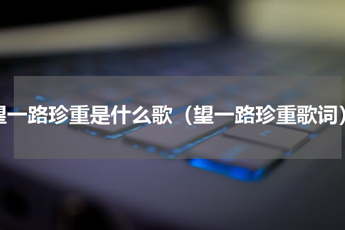 望一路珍重是什么歌（望一路珍重歌词）