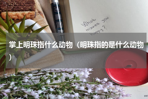 掌上明珠指什么动物（明珠指的是什么动物）