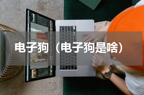 电子狗（电子狗是啥）