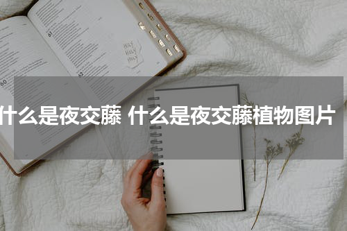 什么是夜交藤 什么是夜交藤植物图片