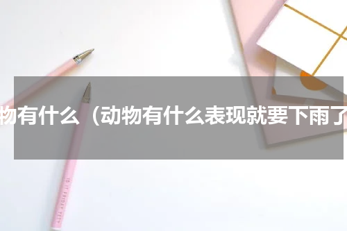 动物有什么（动物有什么表现就要下雨了）
