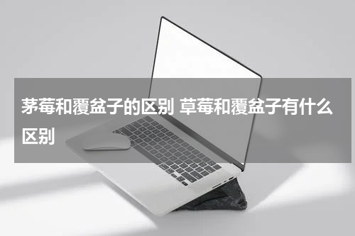 茅莓和覆盆子的区别 草莓和覆盆子有什么区别
