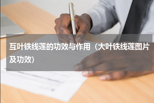 互叶铁线莲的功效与作用（大叶铁线莲图片及功效）