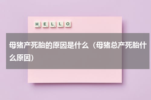 母猪产死胎的原因是什么（母猪总产死胎什么原因）