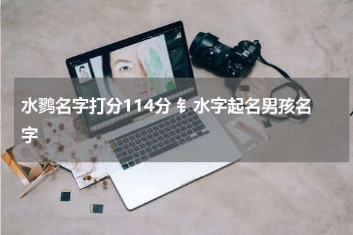 水鹨名字打分114分 钅水字起名男孩名字