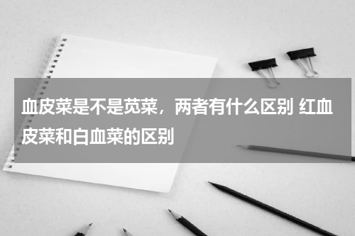 血皮菜是不是苋菜，两者有什么区别 红血皮菜和白血菜的区别