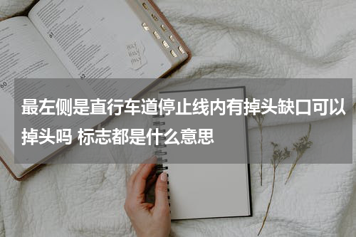 最左侧是直行车道停止线内有掉头缺口可以掉头吗 标志都是什么意思