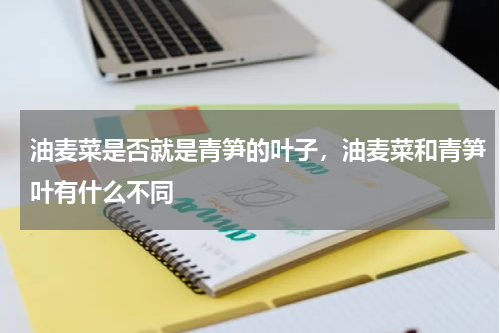 油麦菜是否就是青笋的叶子，油麦菜和青笋叶有什么不同