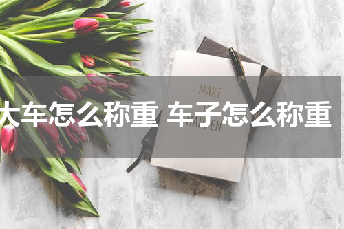 大车怎么称重 车子怎么称重