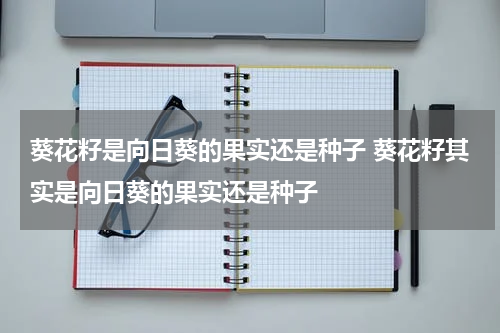 葵花籽是向日葵的果实还是种子 葵花籽其实是向日葵的果实还是种子