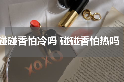 碰碰香怕冷吗 碰碰香怕热吗