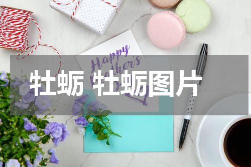 牡蛎 牡蛎图片